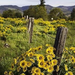 Meet your Posher, Connie